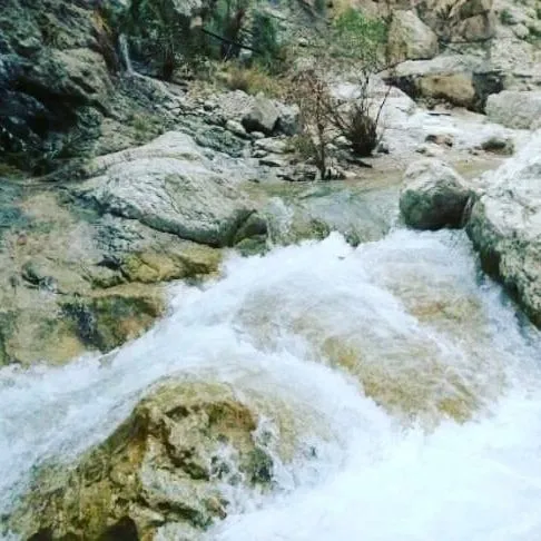 تنگه پرستو بندرعباس | شنا در آب خنک رودخانه