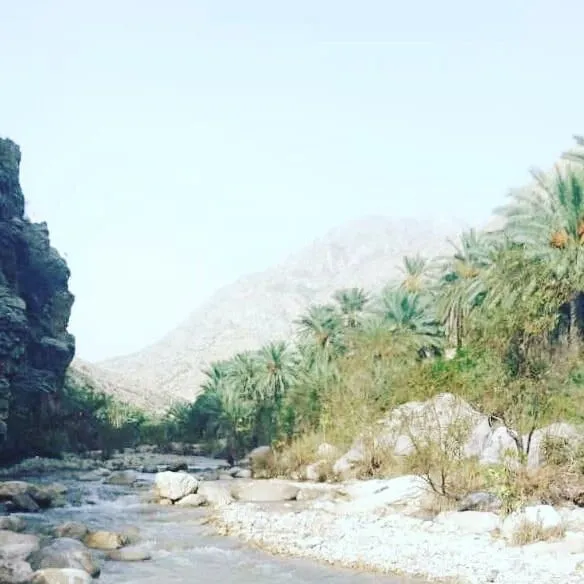 تنگه پرستو بندرعباس | شنا در آب خنک رودخانه – 2