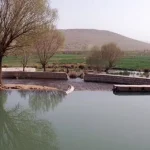 سراب فش کنگاور | نگین سبز زاگرس