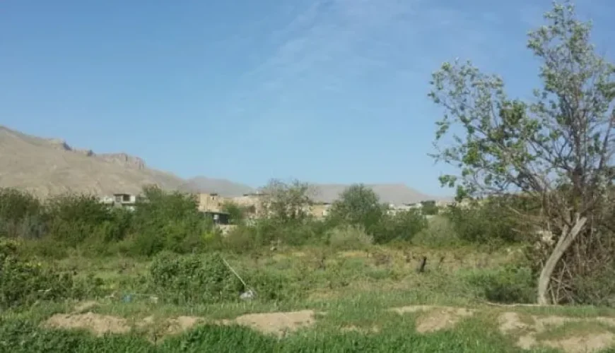 روستای بیدسرخ صحنه | زندگی میان باغ ها