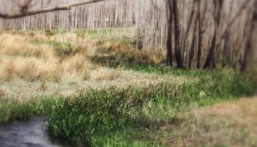 سراب ماران کنگاور | خستگی زدایی در طبیعت