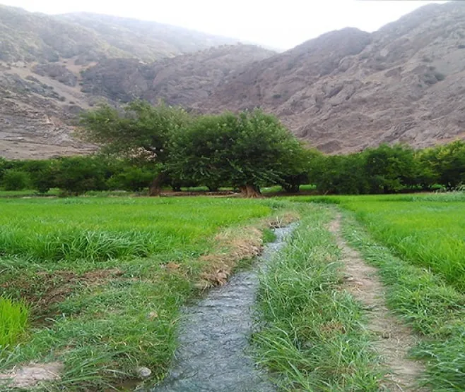 روستای-سررک – 1 روستای سررک | طبیعت و فرهنگ در کیار – 1