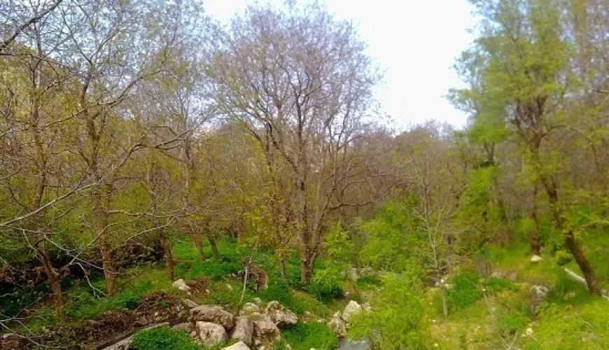 هواندران جوانرود | روایت یک روستای آرام