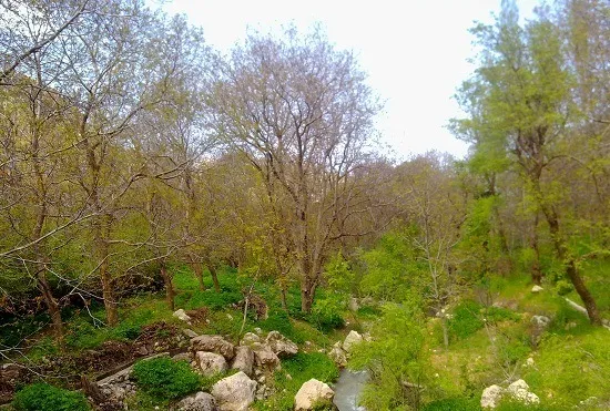 هواندران جوانرود | روایت یک روستای آرام