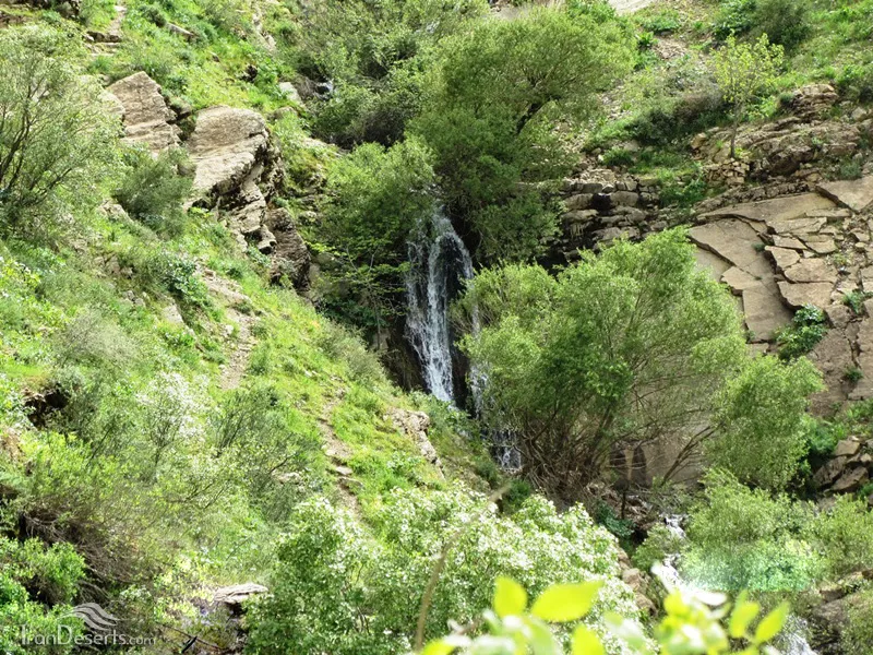 آبشار شیلماو پاوه | تماشای بهار آتشگاه