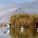 روستای کمارج شمالی | نگین کهن کازرون