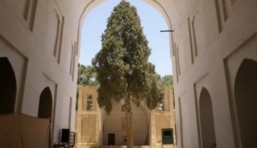 مسجد جامع نی ریز | کهن ترین مسجد فارس
