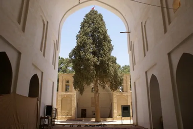 مسجد جامع نی ریز | کهن ترین مسجد فارس