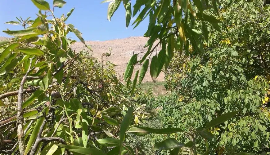 روستای پنگون بوانات | روستایی آرام با پیشینه محلی