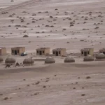 پارک نی باد | کویر زرین اردکان