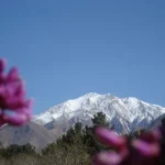 کوه بل | شکوه کوهستانی اقلید فارس