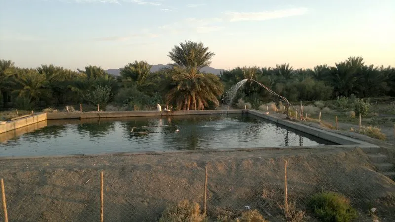 روستای هوراب کهنوج | روستایی جوان در کرمان