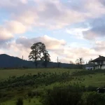 روستای چماچا شفت | بهشت سرسبز نزدیک رشت