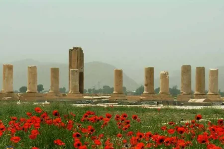 کاخ نشیمن پاسارگاد | اقامتگاه اختصاصی کوروش