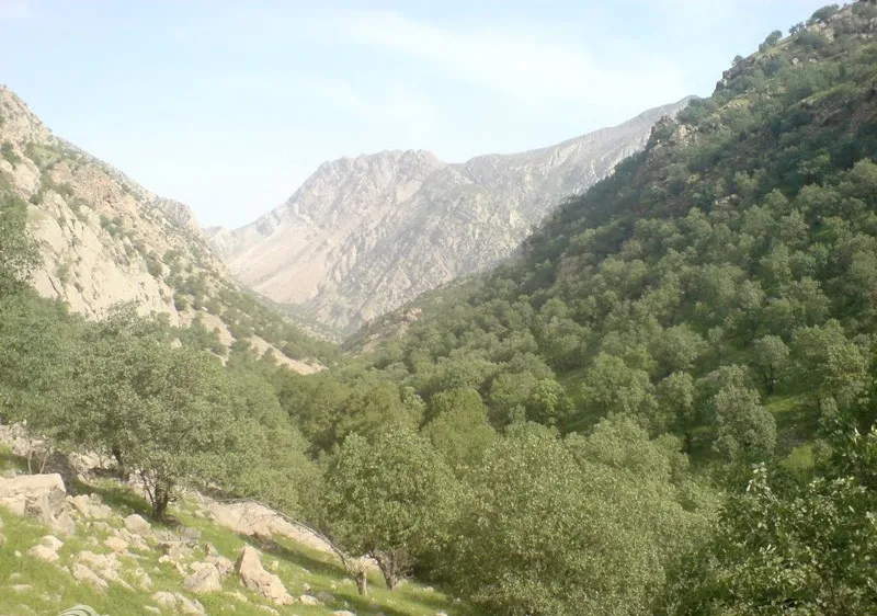 تنگ-تهی-باغملک – 2 تنگ تهی باغملک | دره ای شگفت در زاگرس – 2