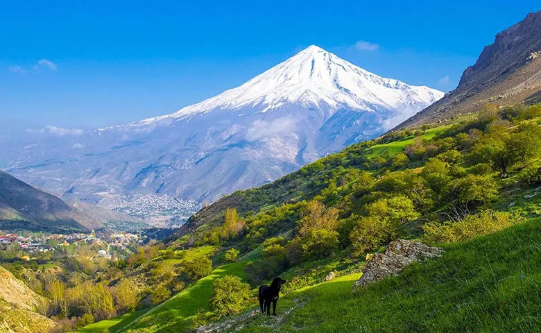 جنگل آزو کلاردشت | دشتی در قلب طبیعت – 1