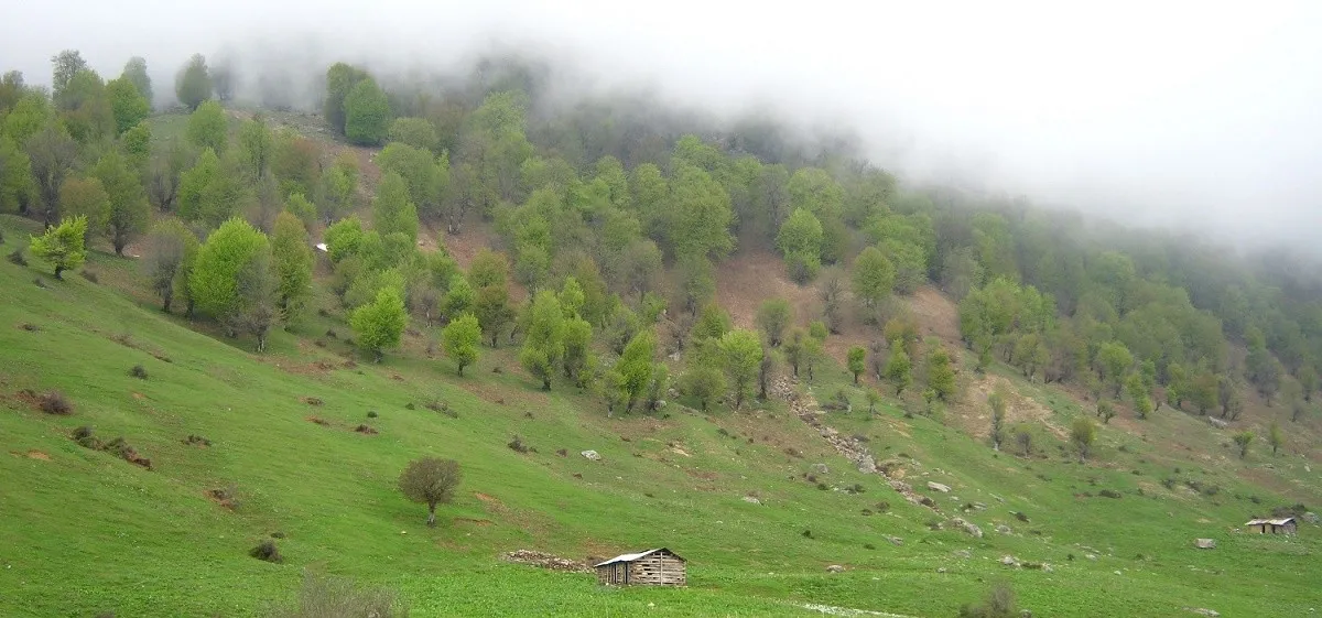 کوه-روبار-ماسوله-گیلان کوه روبار ماسوله | سفر به دشت مه آلود گیلان