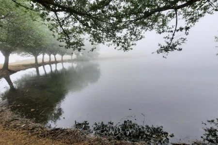 آبگیر قارقچال | نگین طبیعت بالاده