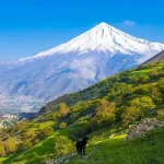 جنگل آزو کلاردشت | دشتی در قلب طبیعت