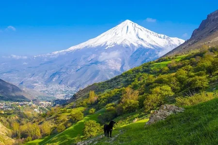 جنگل آزو کلاردشت | دشتی در قلب طبیعت