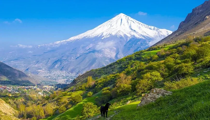 جنگل آزو کلاردشت | دشتی در قلب طبیعت