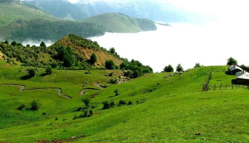 ییلاق هلودشت املش | تماشای دریای ابر