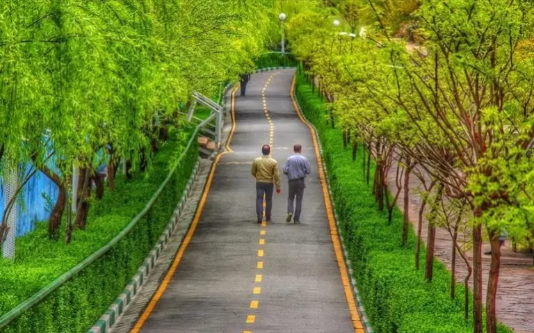 مایی از فضای سبز و مسیر پیاده‌روی در پارک نهج البلاغه تهران