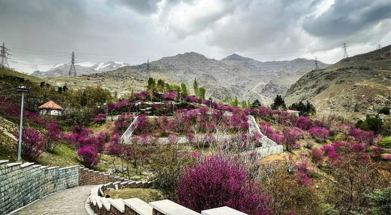 گلابدره-تهران گلابدره تهران | طبیعتی تماشایی در شمال پایتخت