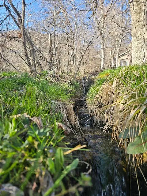 روستای-اسکول-دره – 1 روستای اسکول دره | طبیعت بکر ساوجبلاغ – 1