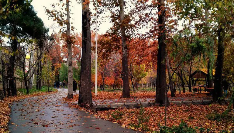 باغ فاتح کرج | راهنمای کامل بازدید از پارک تنیس – 2