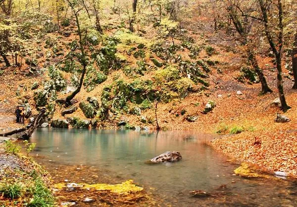 چشمه لال گالیکش | چشمه ای در دل جنگل