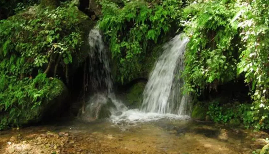 آبشار چلندر کجاست | معرفی آبشار زیبای نوشهر