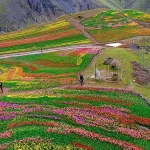 روستای کندر کرج | معرفی جاذبه ها و مسیر