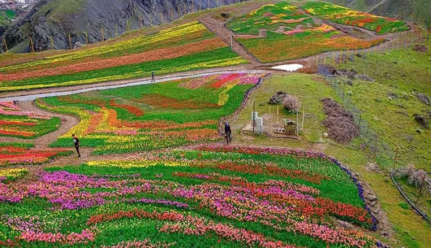روستای کندر کرج | معرفی جاذبه ها و مسیر