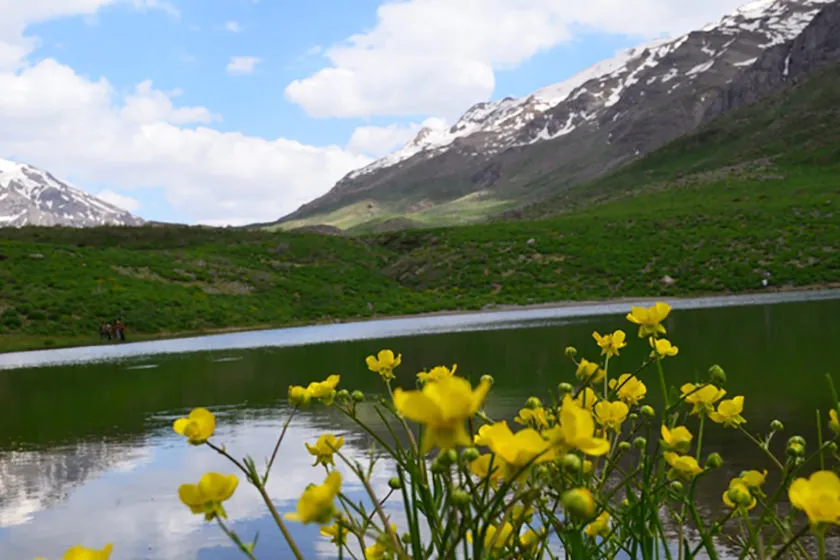 دریاچه کوه گل سی سخت | طبیعت بهاری و گل های وحشی