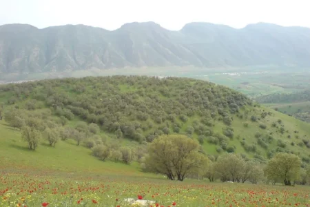 روستای قمرالی چله گیلانغرب | آشنایی با بزرگ‌ترین روستای دهستان