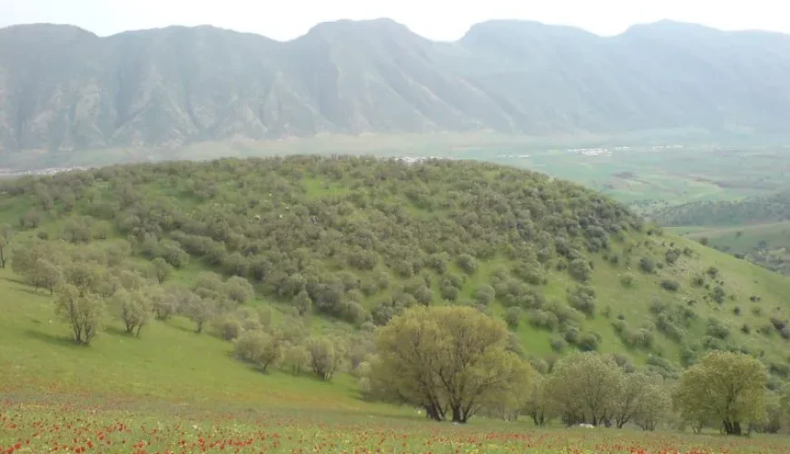 روستای قمرالی چله گیلانغرب | آشنایی با بزرگ‌ترین روستای دهستان